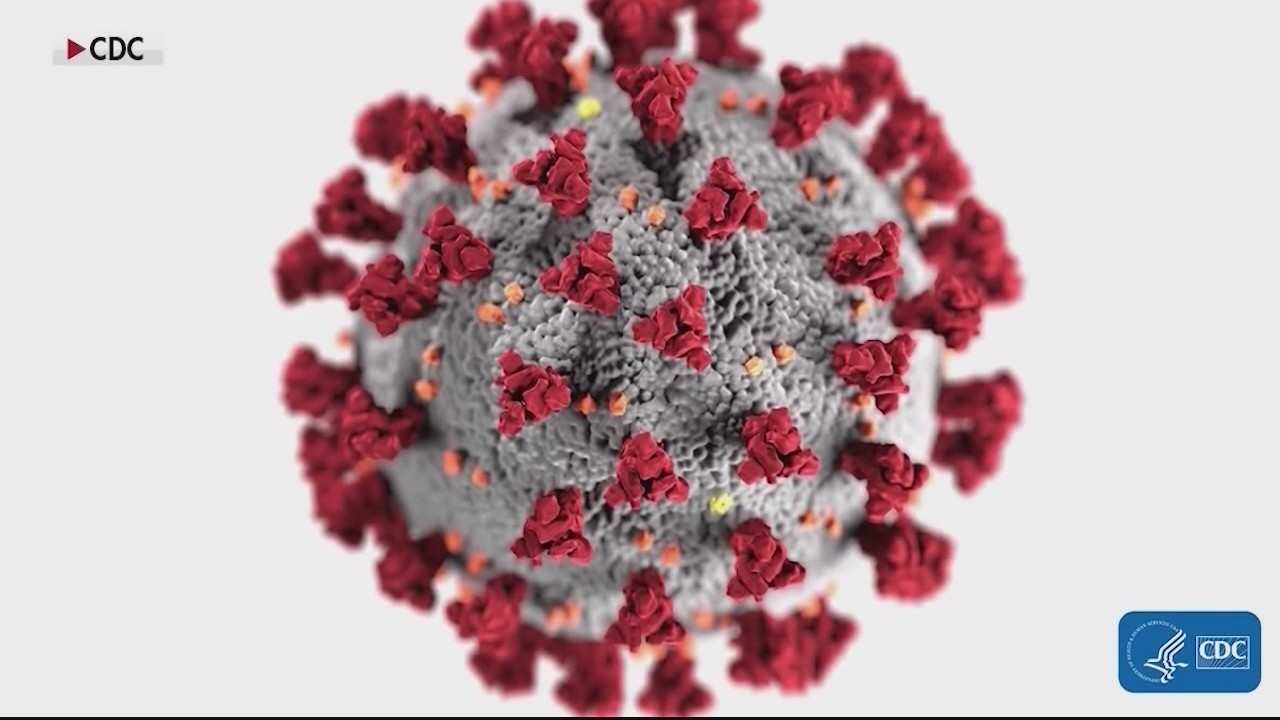 Health officials urge precautions as flu cases rise