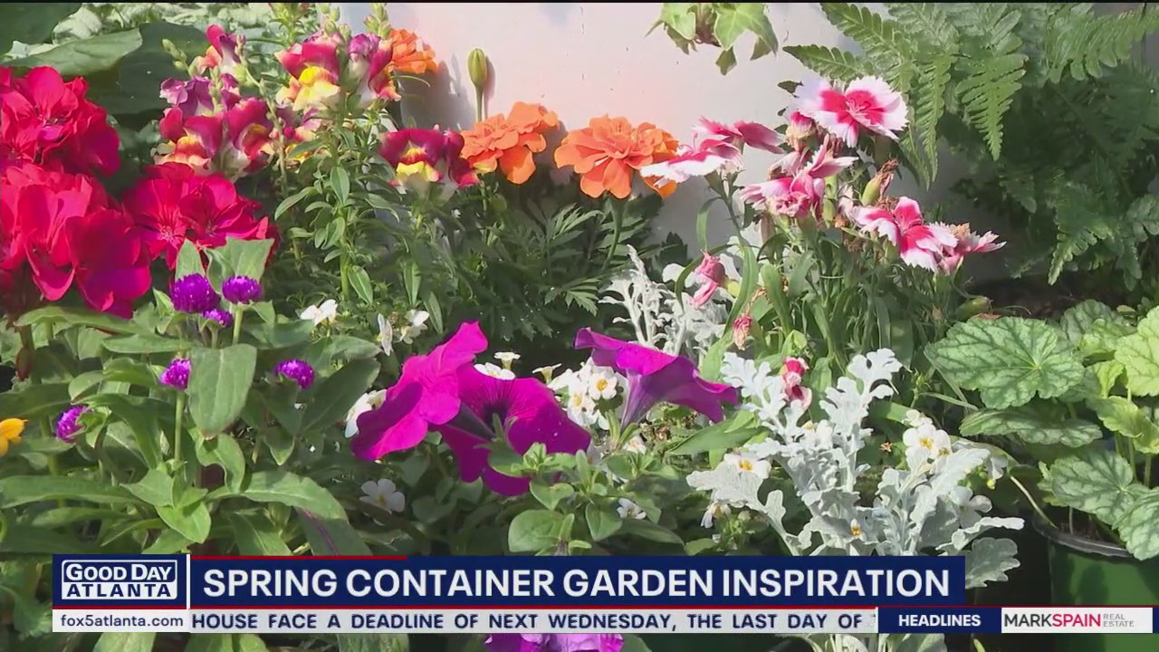 Get some inspiration for your spring container garden