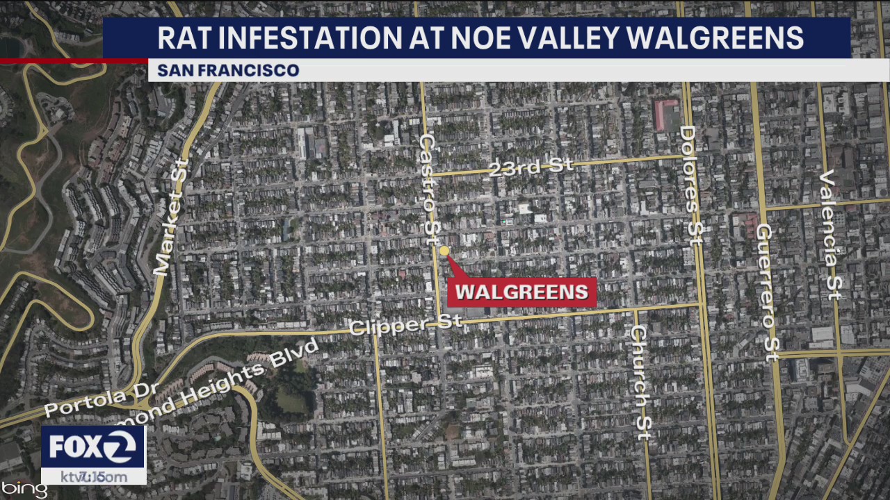 Rat infestation at San Francisco Walgreens