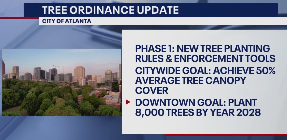 Tree ordinance update