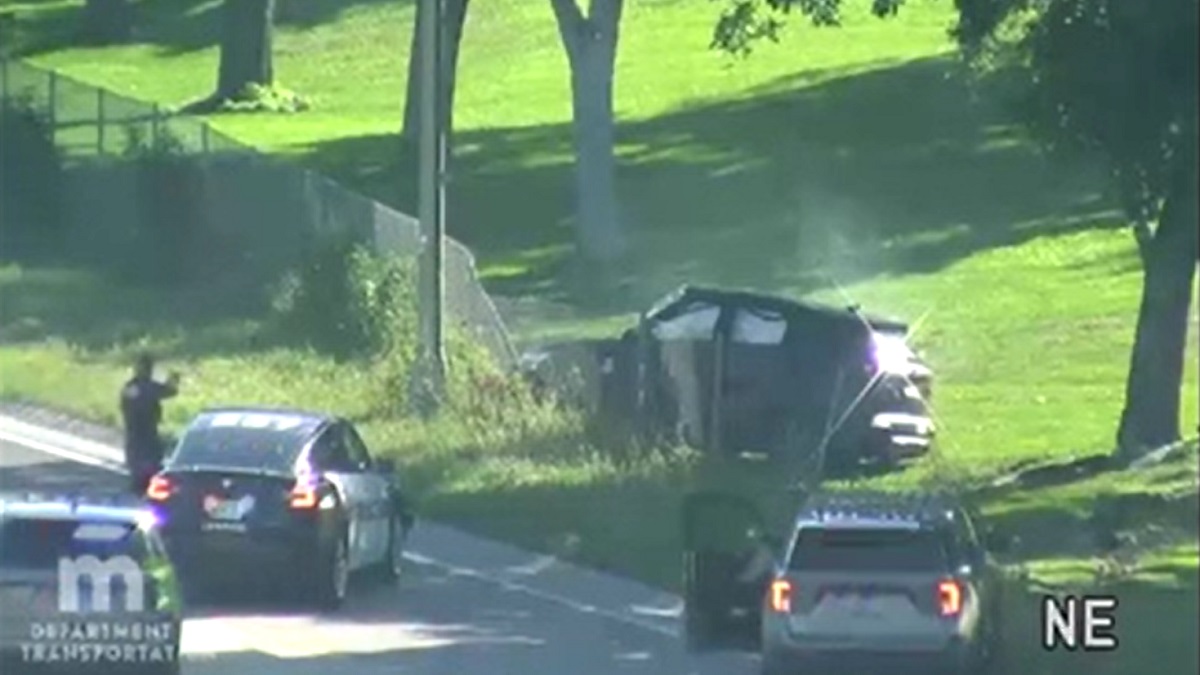 Stolen car hits spike strip, crashes into tree