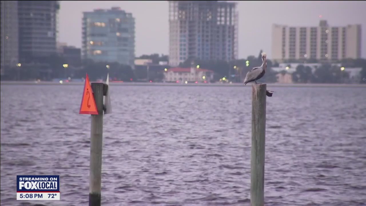 Residents team up with scientist to figure out sound coming from Tampa Bay