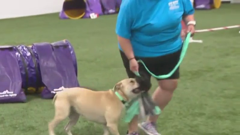 Think Pawsitive Dog Training, Wisconsin’s largest indoor canine complex