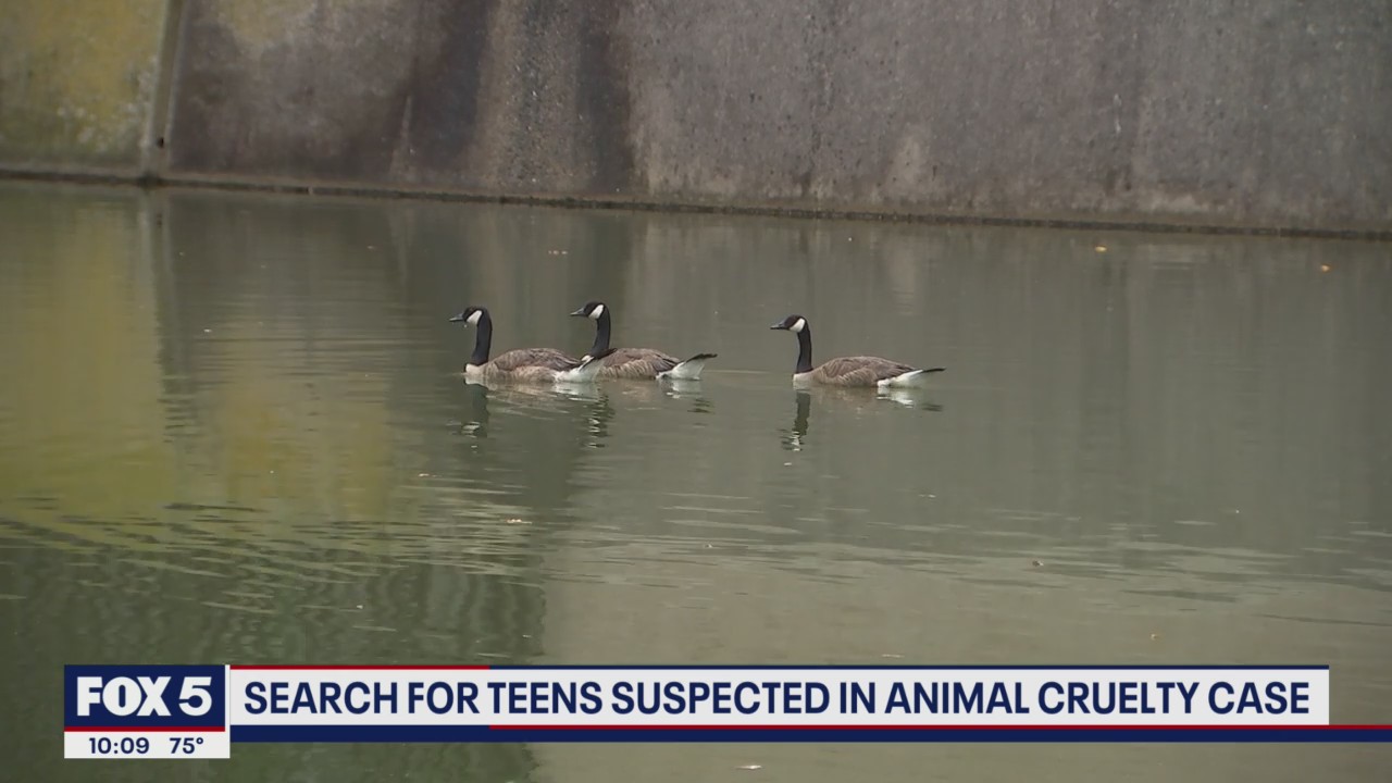 Search for teens suspected in animal cruelty case