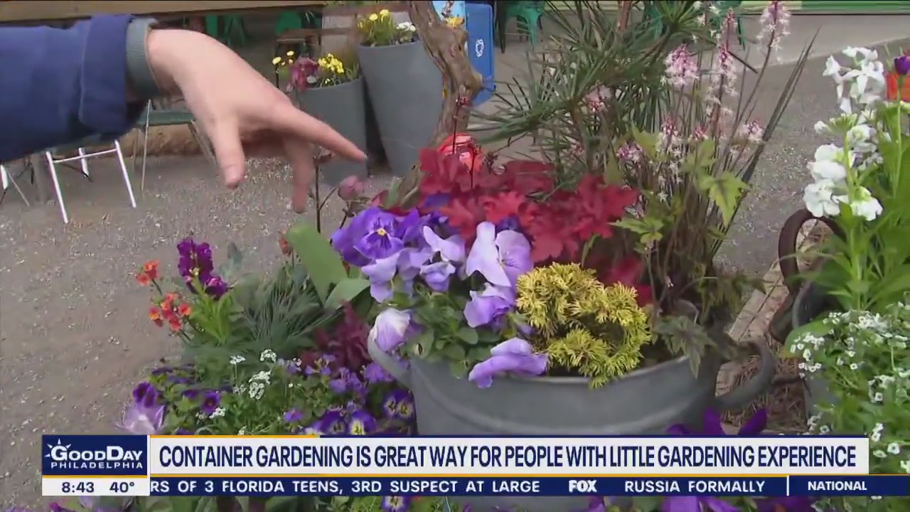 National Garden Month: Container gardening is best for beginners