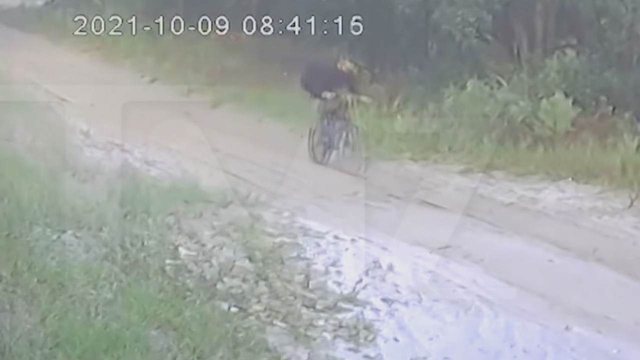 Dunnellon homeowner believes they spotted Brian Laundrie