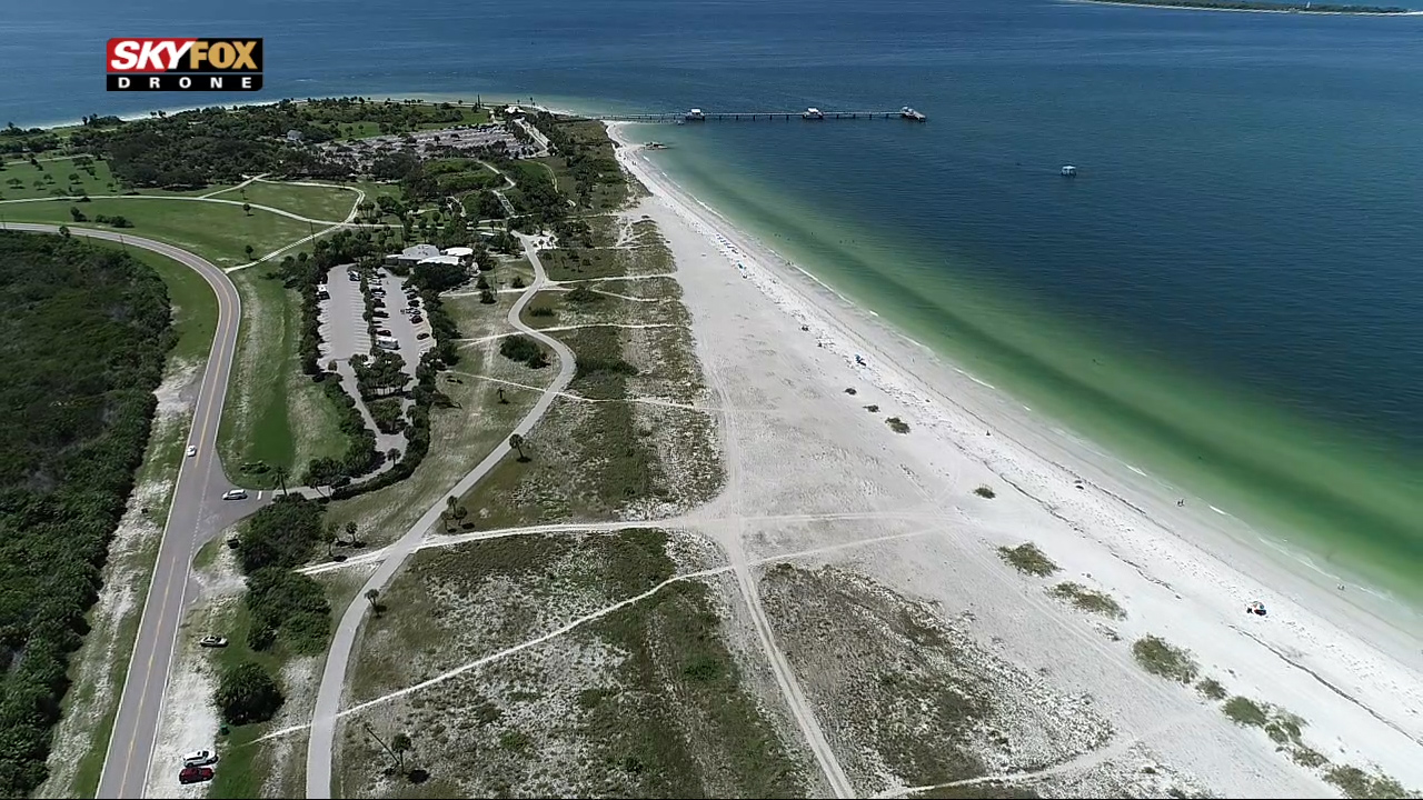 Red tide detected in southern area of Pinellas County
