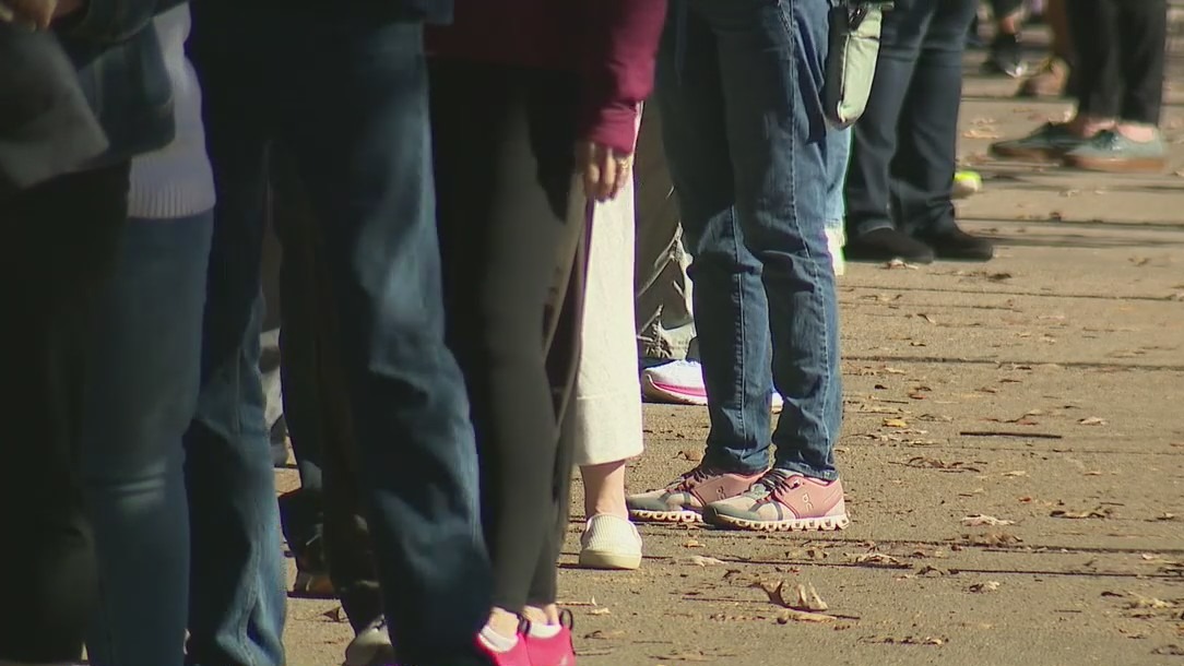 Tips to avoid long wait times while voting