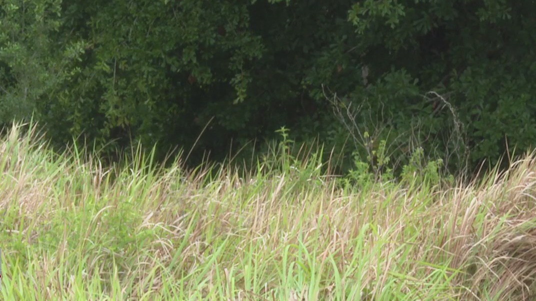 Concerns over homeless camp near school