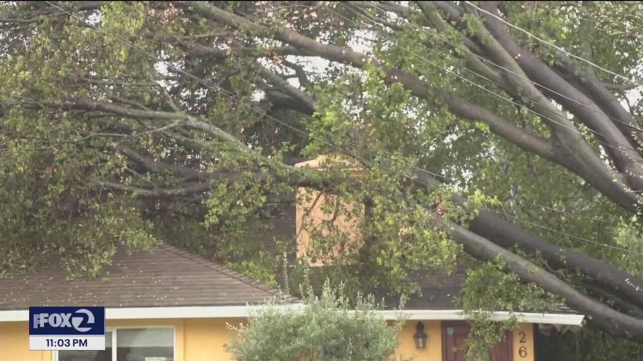 Amid storm, few reports of power outages or damage on Peninsula