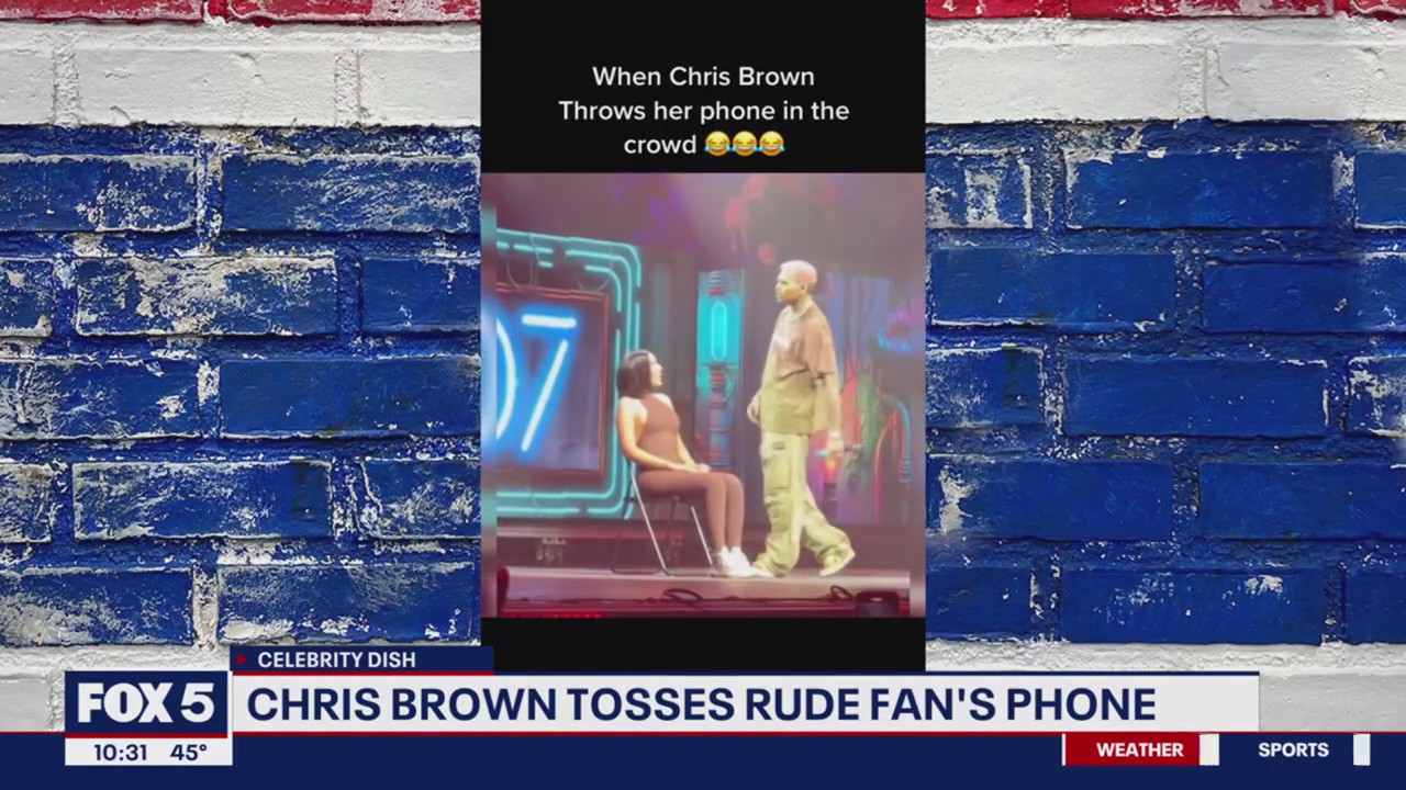 Chris Brown throws fan's phone into crowd during performance