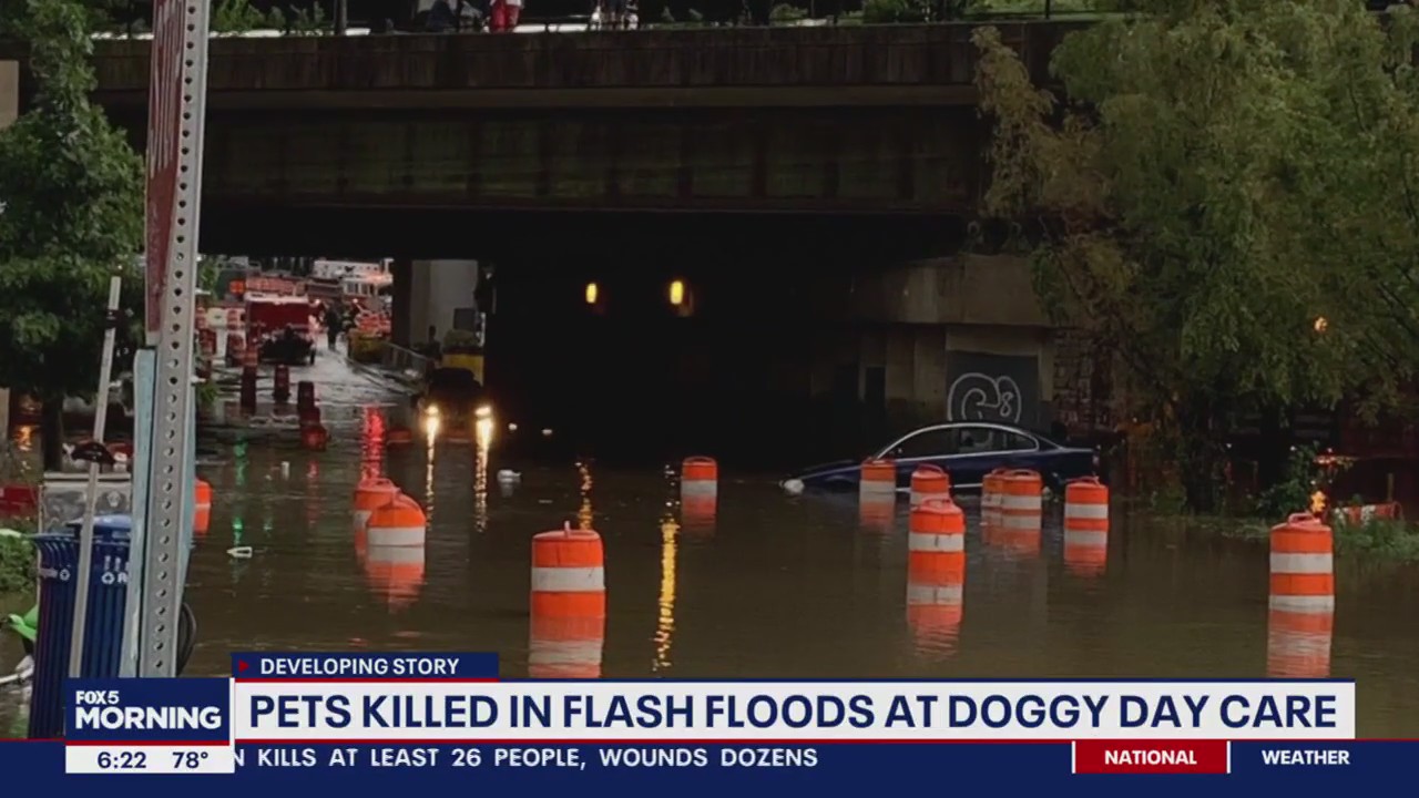 Several dogs dead after flash floods devastate doggy day care in DC