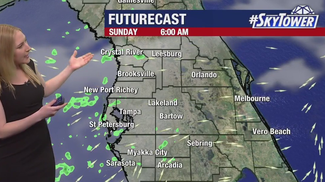 Tampa weather: Saturday evening forecast
