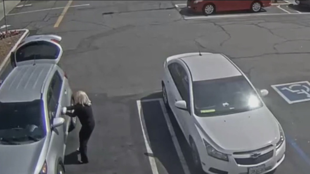 Suspect who carjacked elderly woman arrested