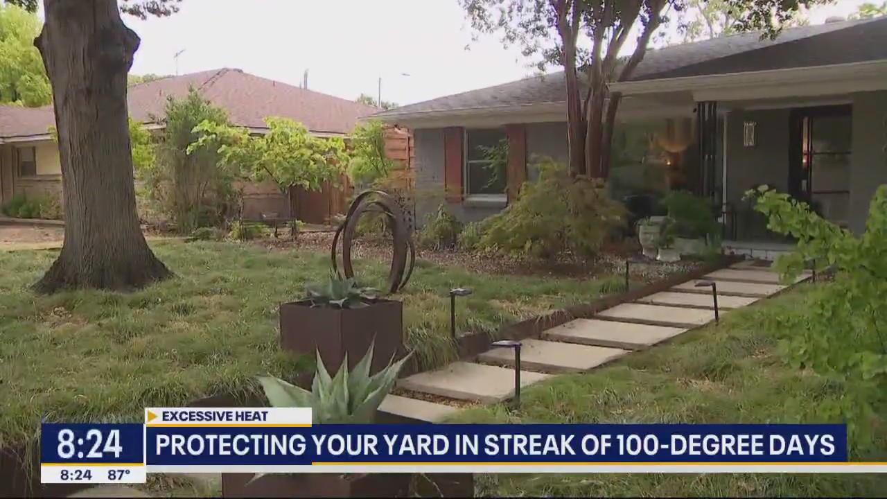 How to protect your yard from the extreme heat