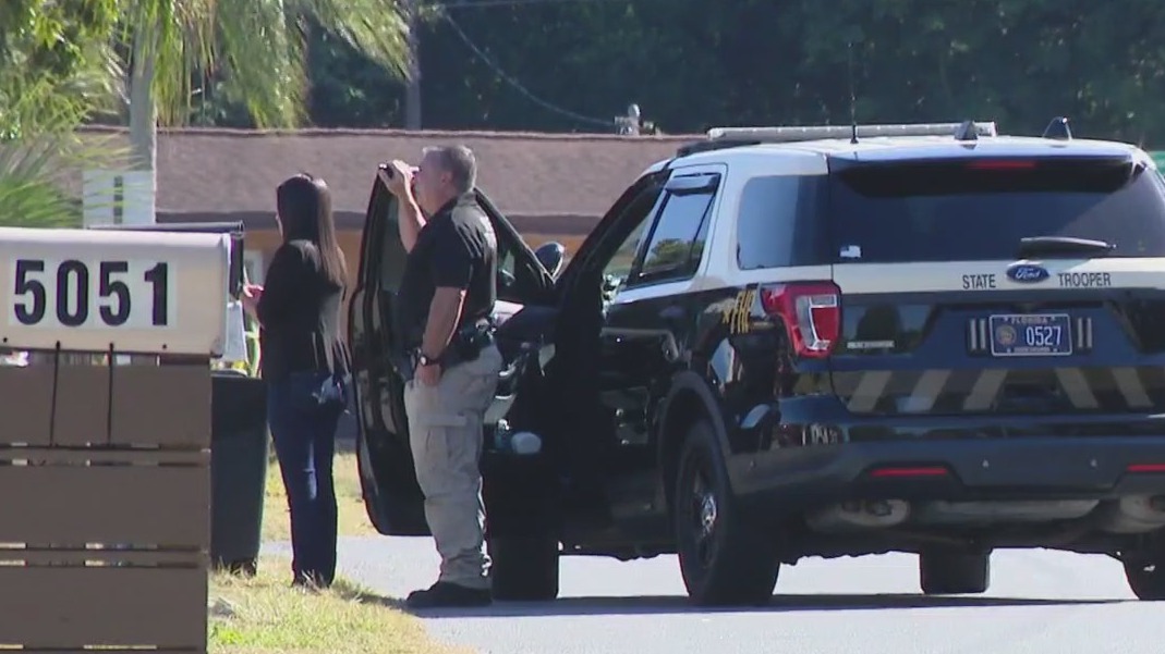 Search for driver in deadly hit-and-run