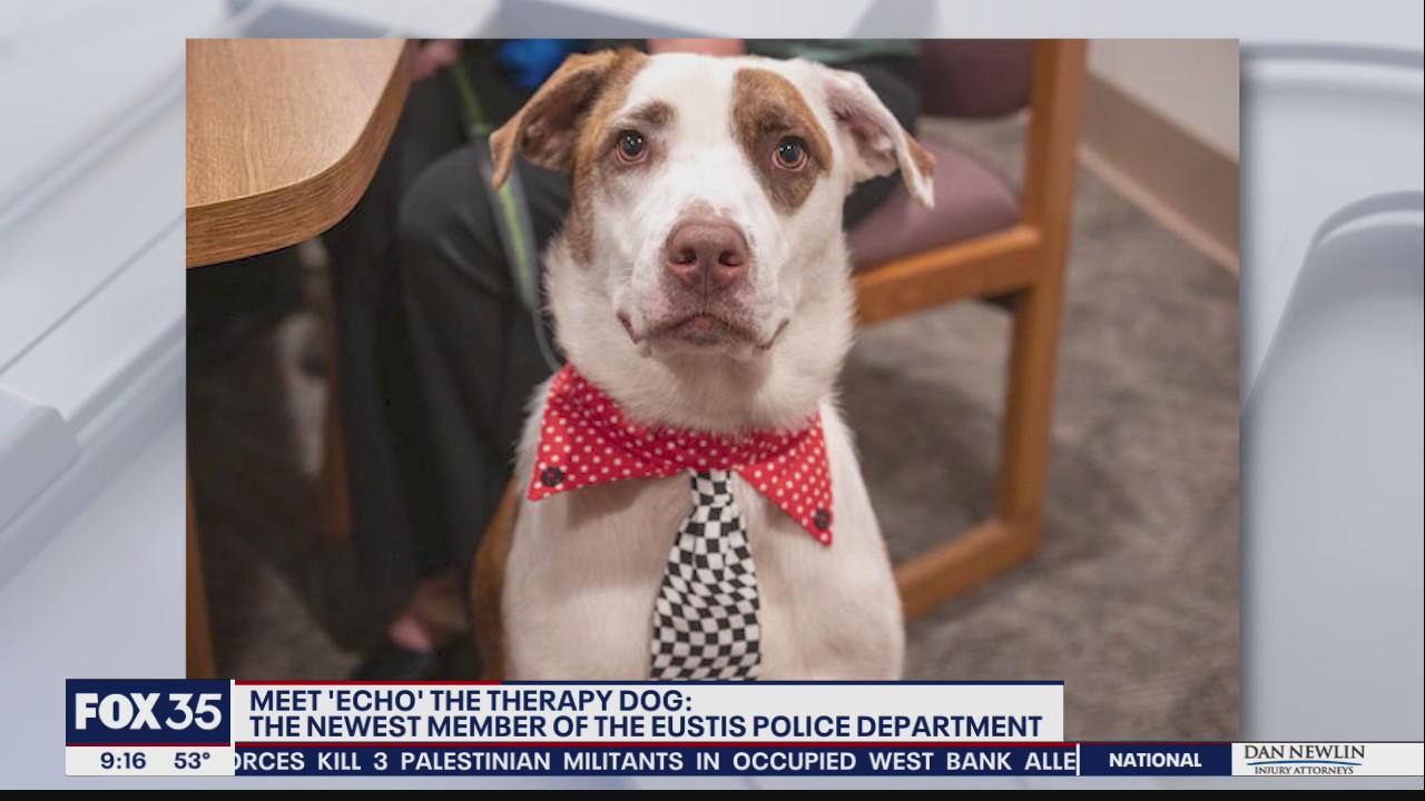 New therapy dog named Echo joins Eustis Police Department