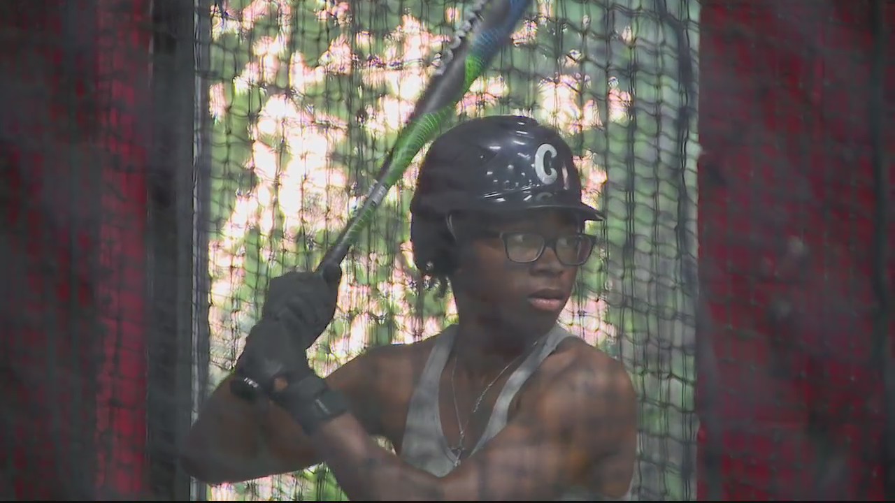Travel baseball growing in metro Detroit