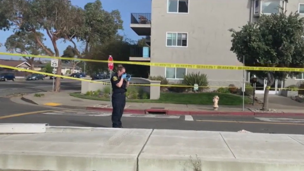 DA won't file charges against driver who killed Supervisor Wilma Chan