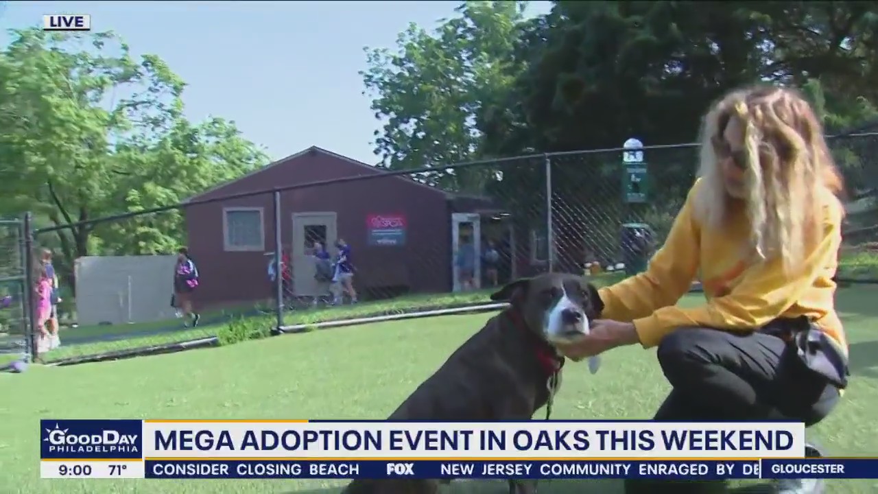 Brandywine Valley SPCA mega adoption event kicks off in Oaks this weekend