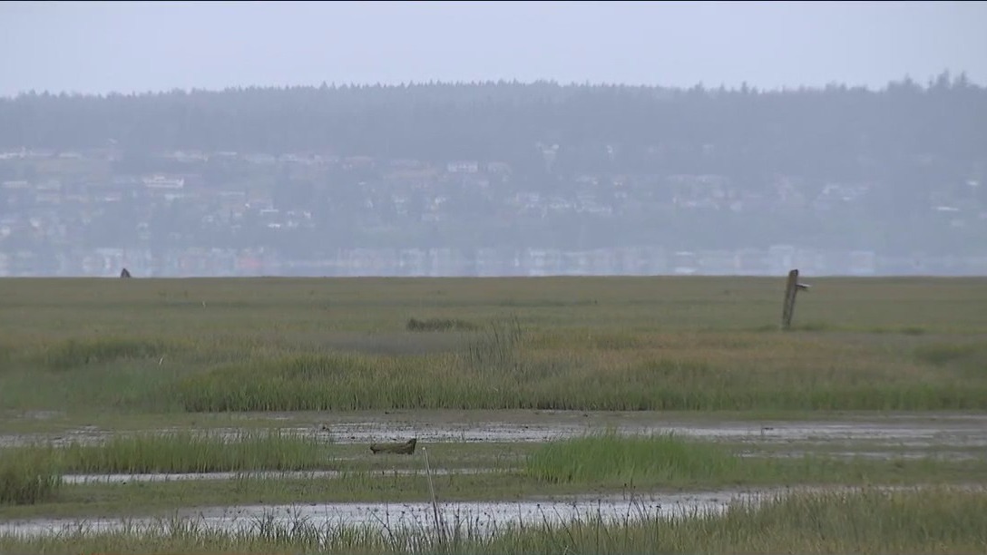 Restoration planned for the Stillaguamish River