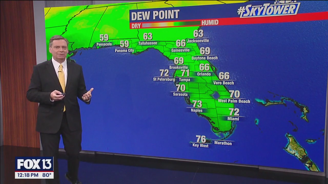 Tampa Weather | Early morning fog burns off, sun shines bright