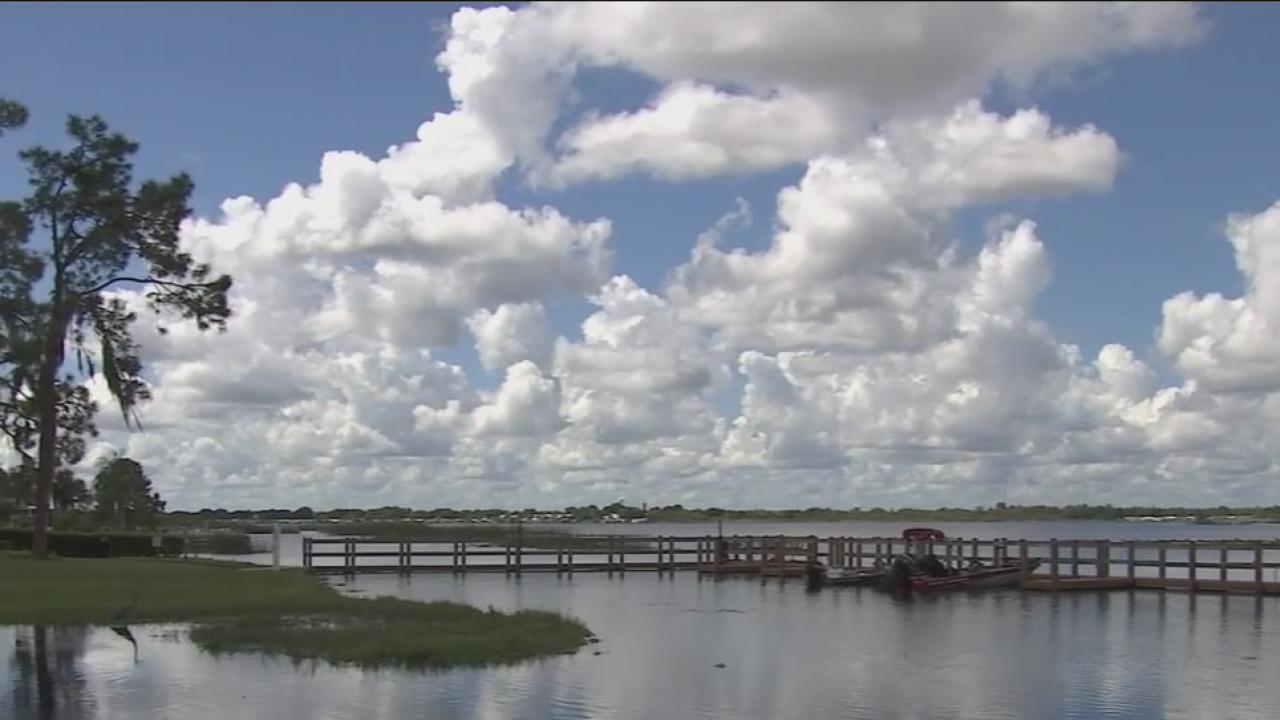 Blue-green algae warning for Lake Henry