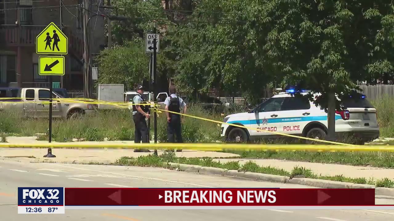 11-year-old killed in hit-and-run on Chicago's West Side