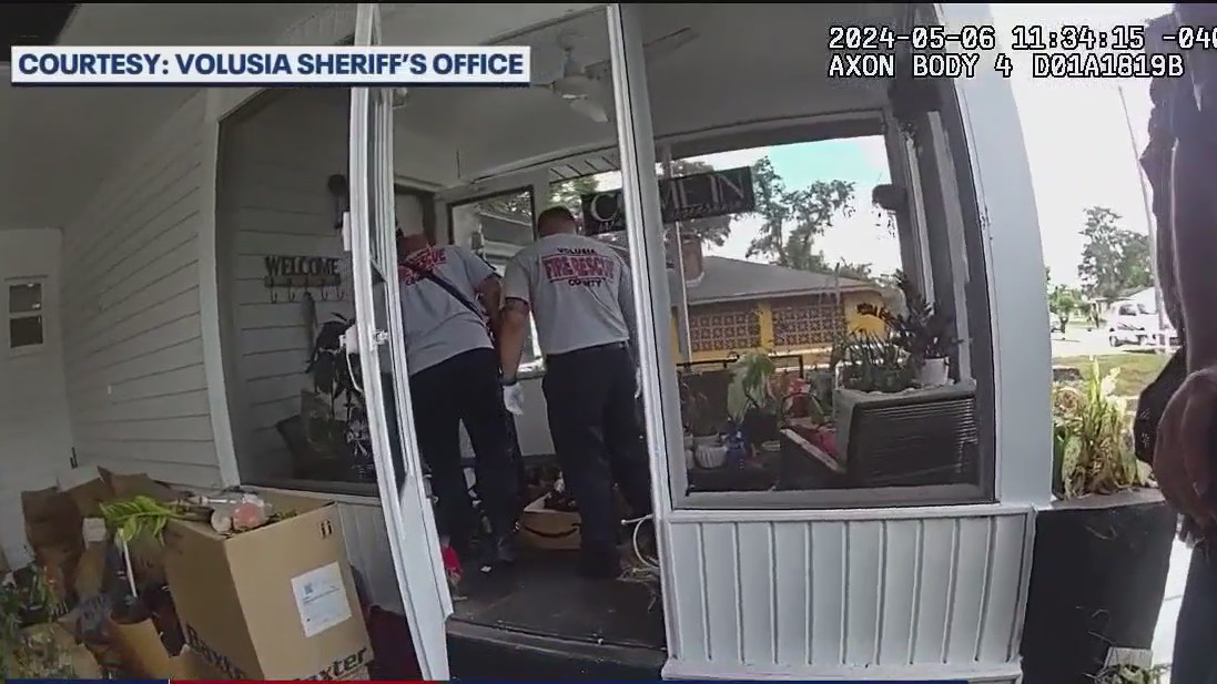 Pets rescued from DeLand home; owner arrested