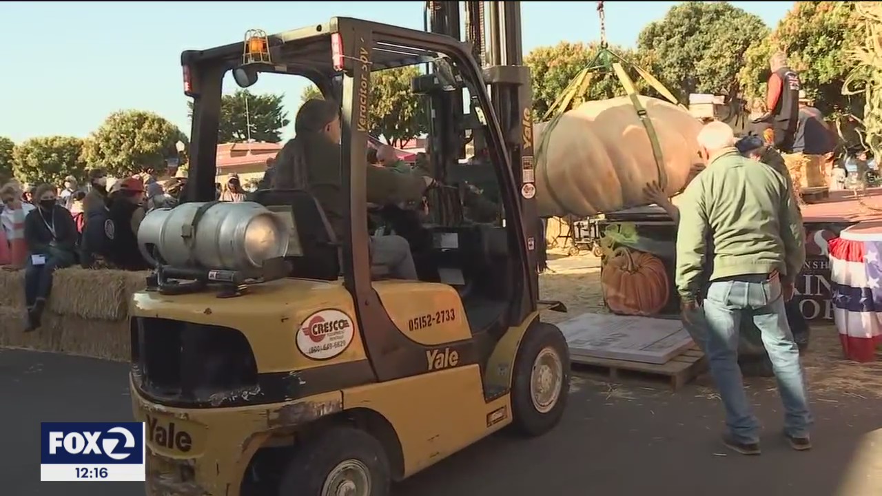 The great pumpkin weigh-off strikes again in Half Moon Bay