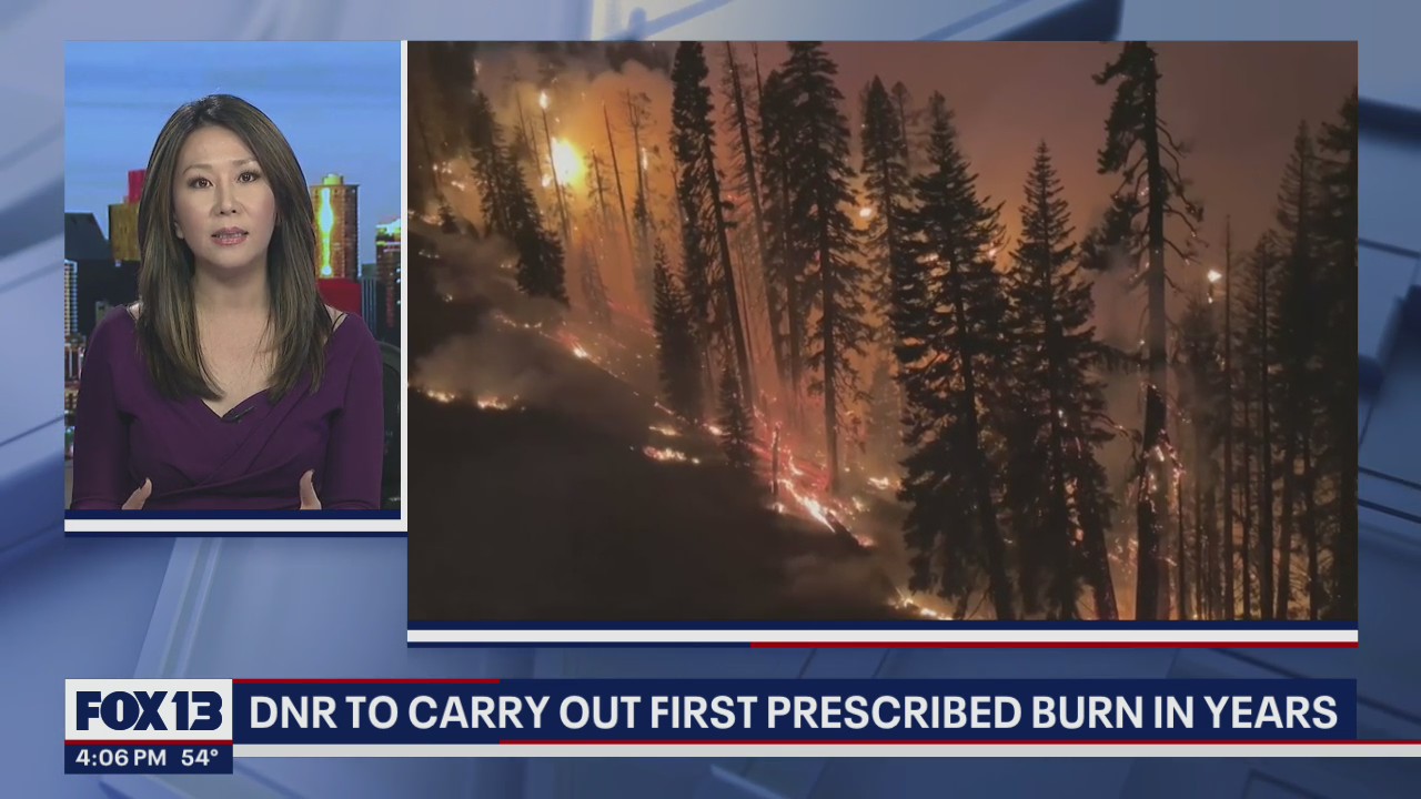 State DNR to carry out prescribed burn for the first time in years