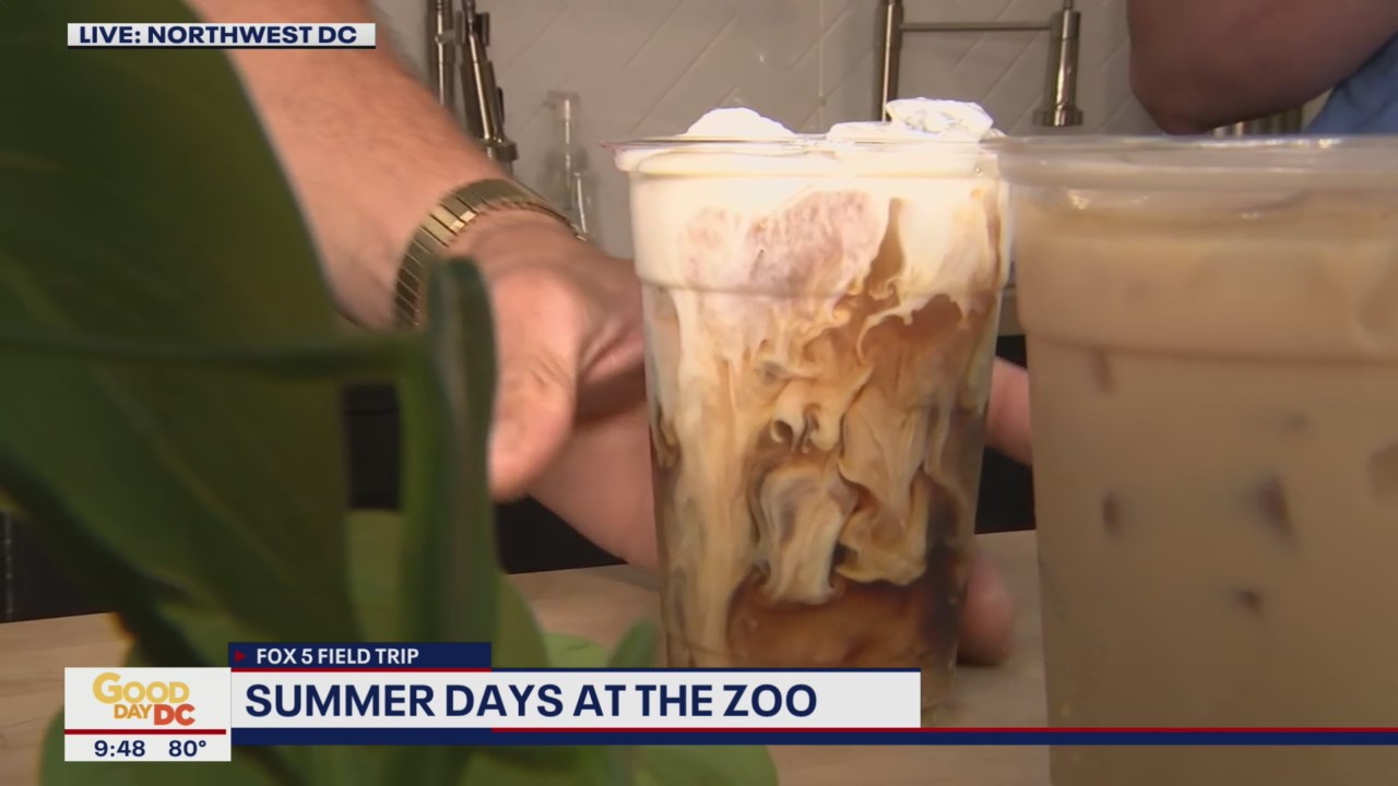 FOX 5 FIELD TRIP: Summer sipping with Vintage Views!