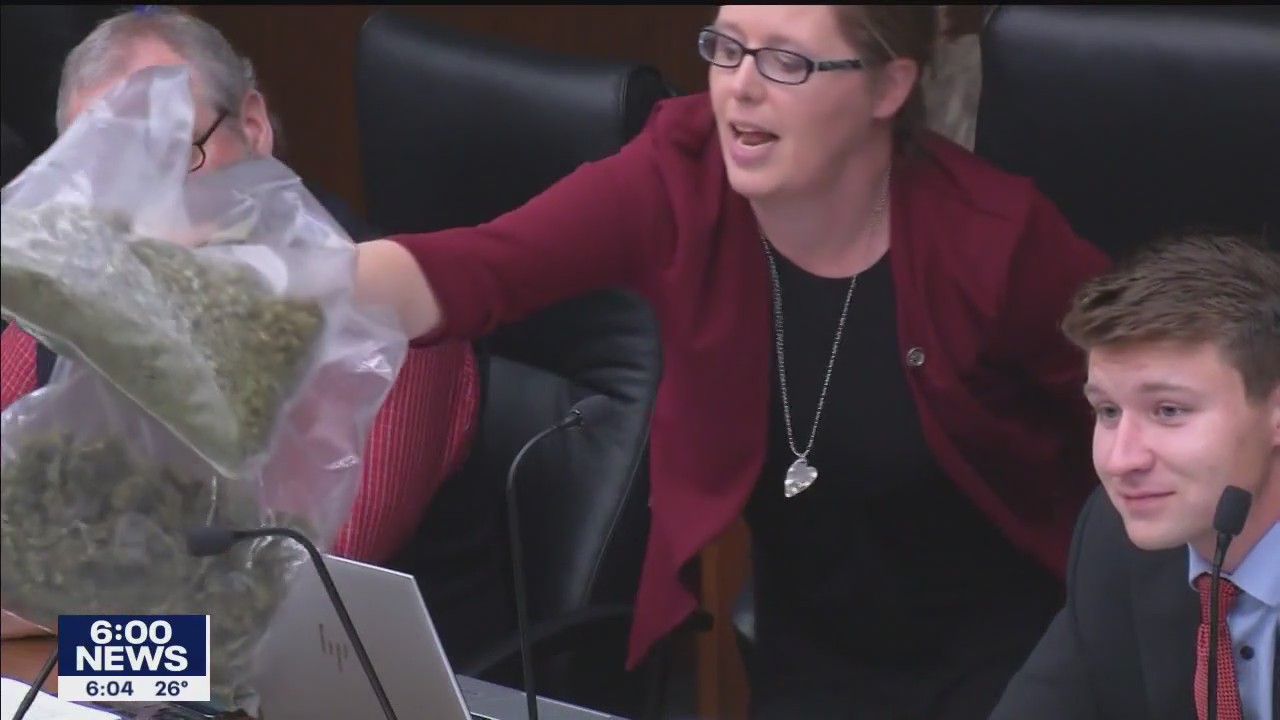 Safety hearing lights up marijuana debate in Minnesota