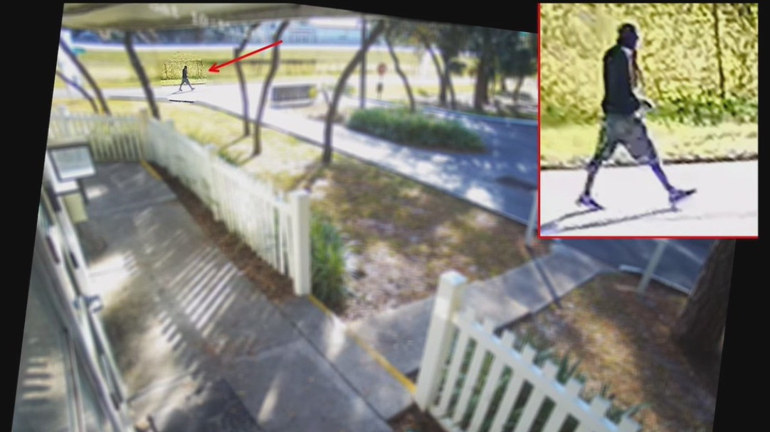 Lake Magdalene attempted rapist on the run
