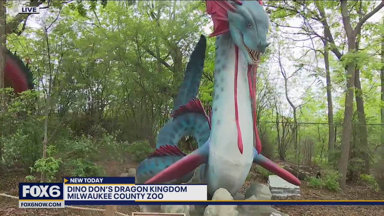 Starting this weekend you can meet dragons that can breathe with fire, soar with wings, and mirror characteristics of enormous lizards and snakes