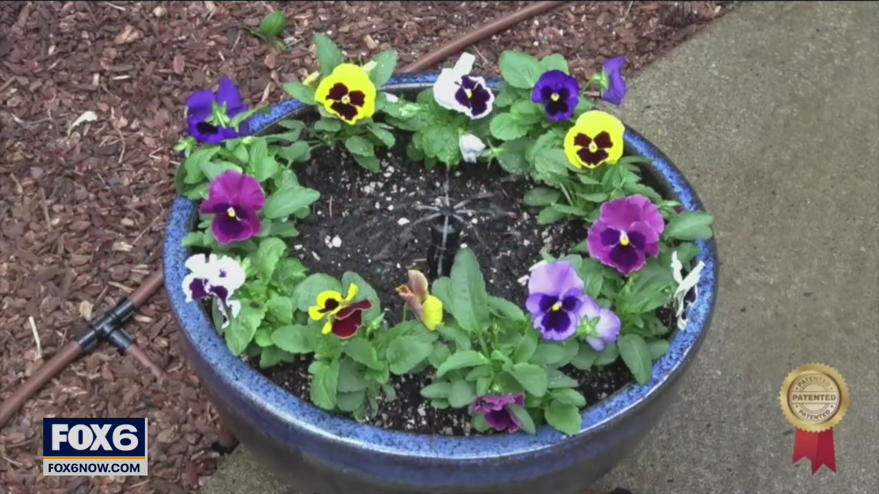 Get your garden in shape for summer