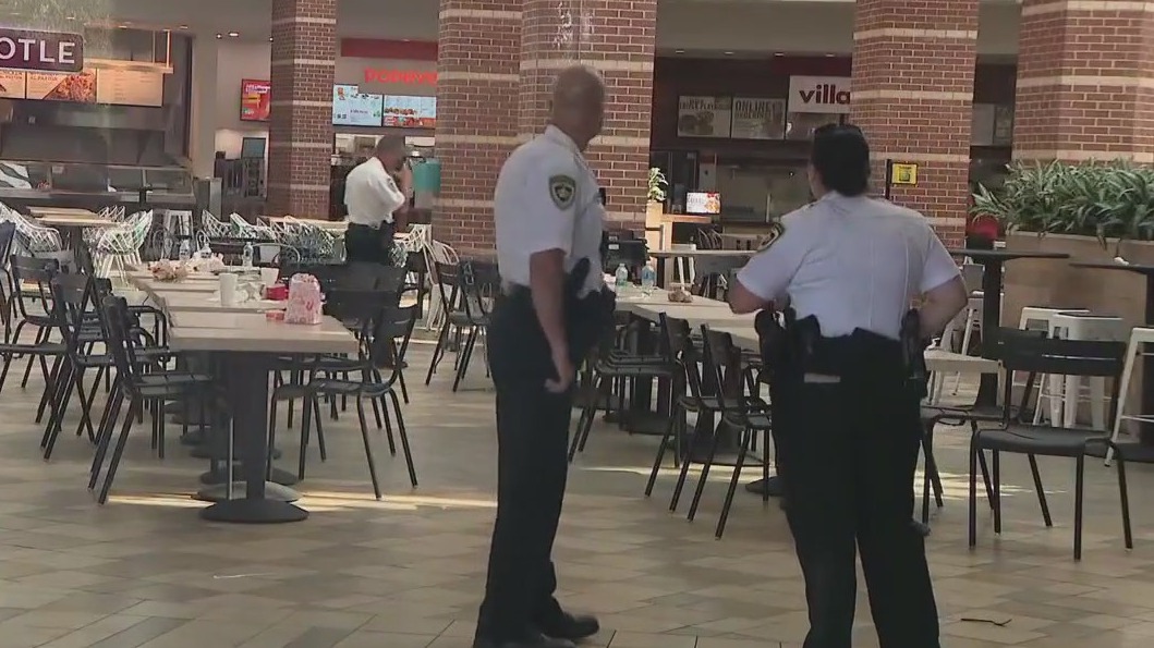 Brandon Mall shooting could have been avoided