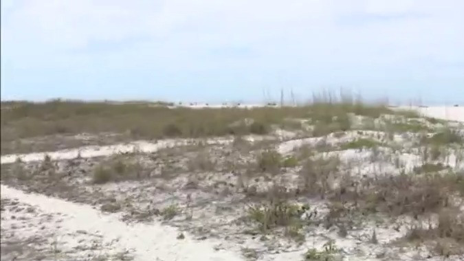 Treasure Island hopes to combat beach erosion with volunteer event