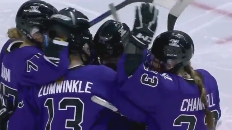 PWHL sets attendance record for women's hockey