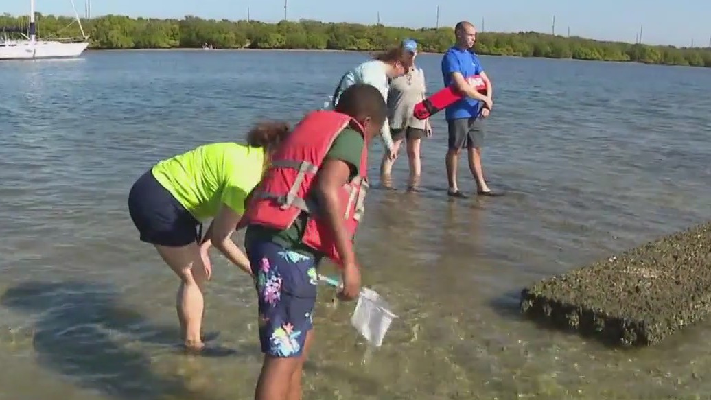 AMI Kids program shows the power of nature