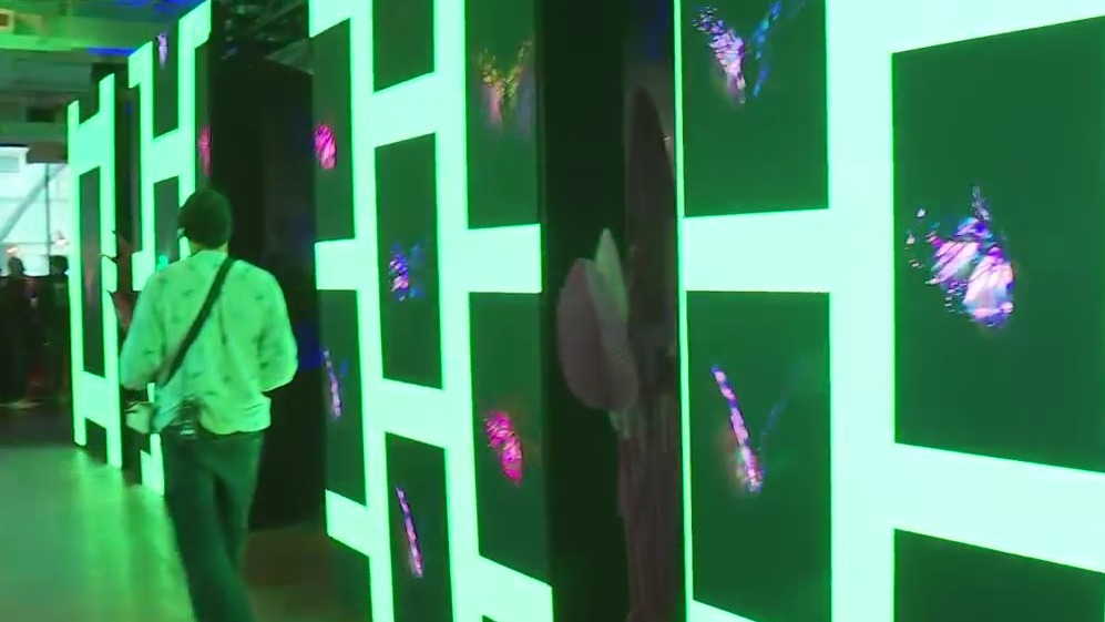 Check out the BCL_NFT_Gallery at Blockchain Creative Labs