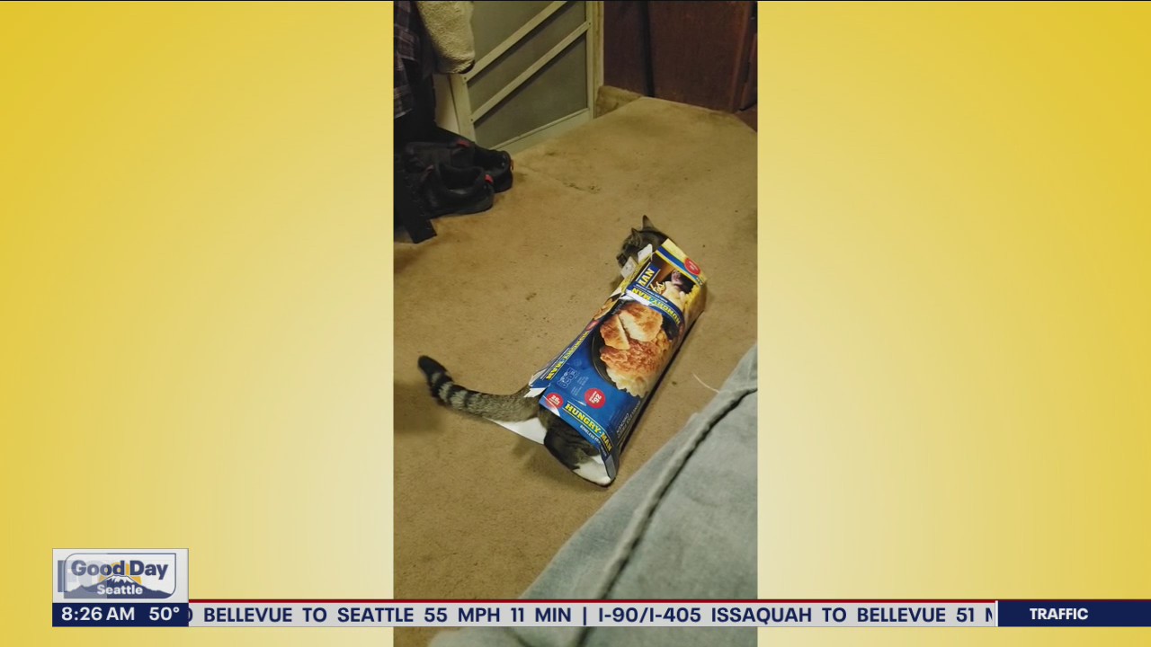 Liz’s Pet Tricks for Monday, April 25