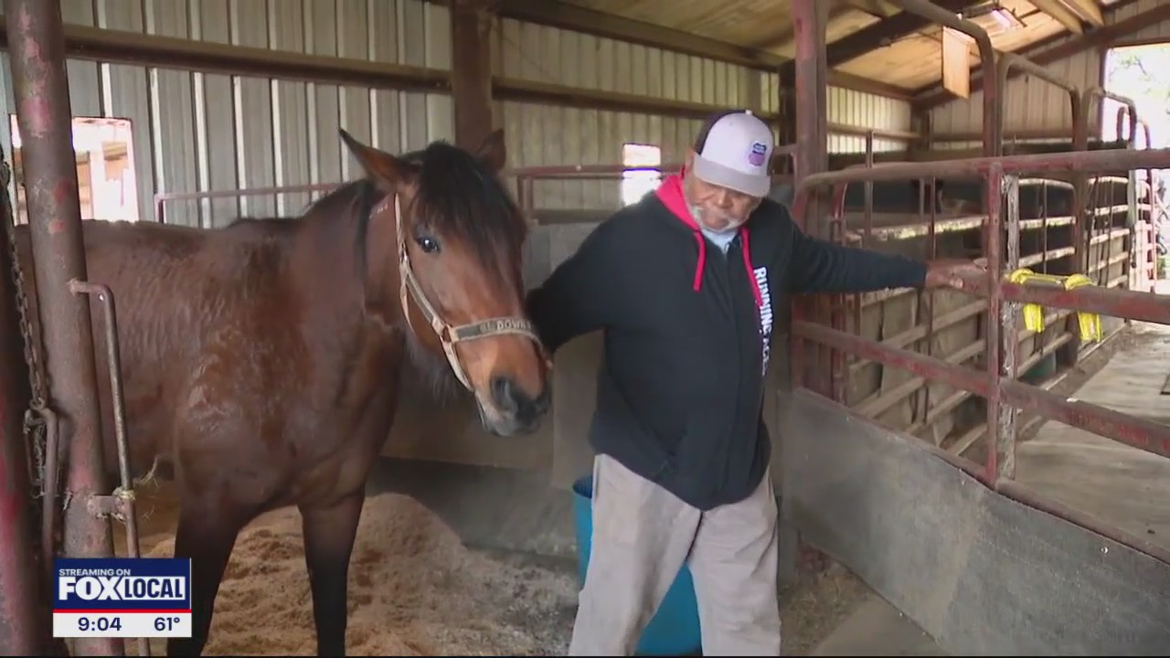 Owner of stolen horse upset teen won't face trial