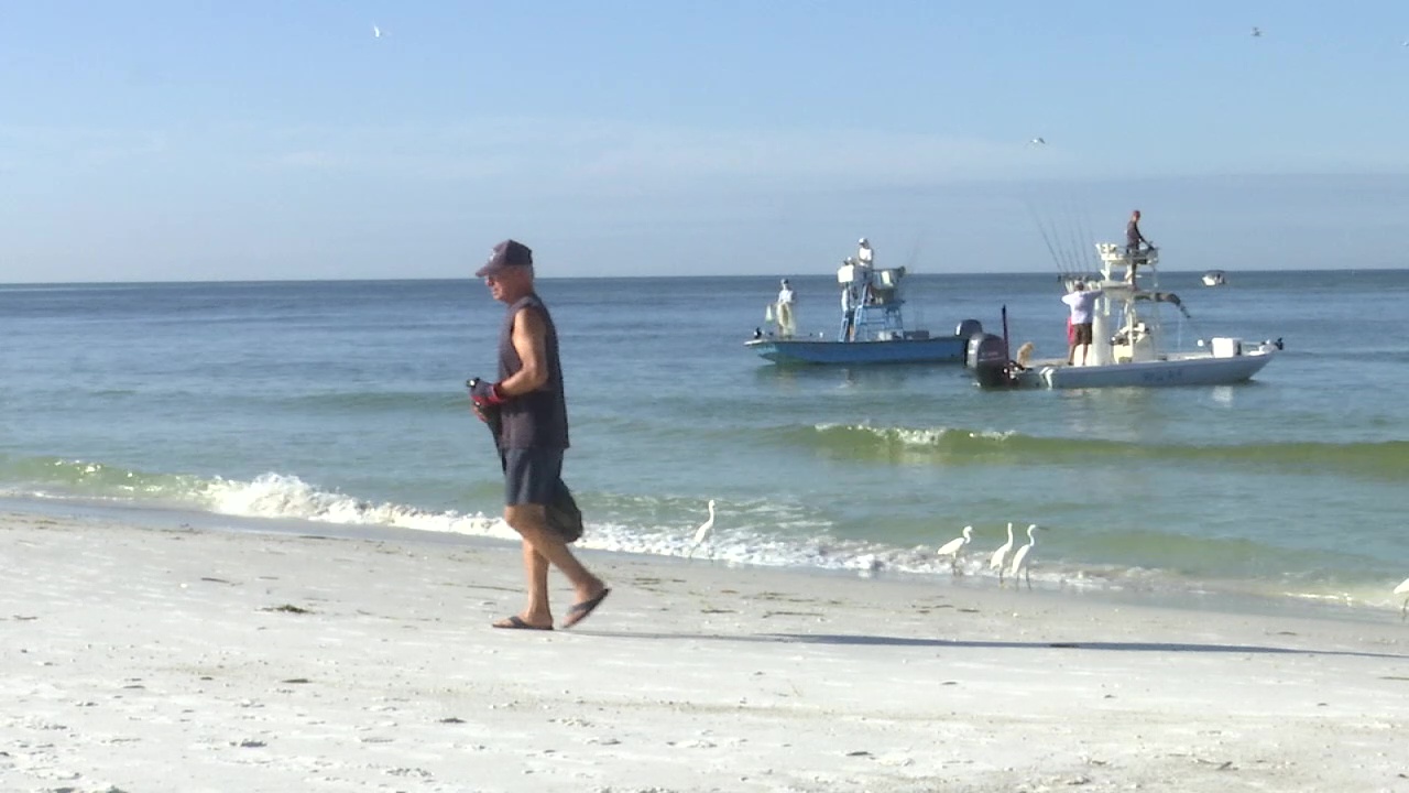 Manatee County beach clean up