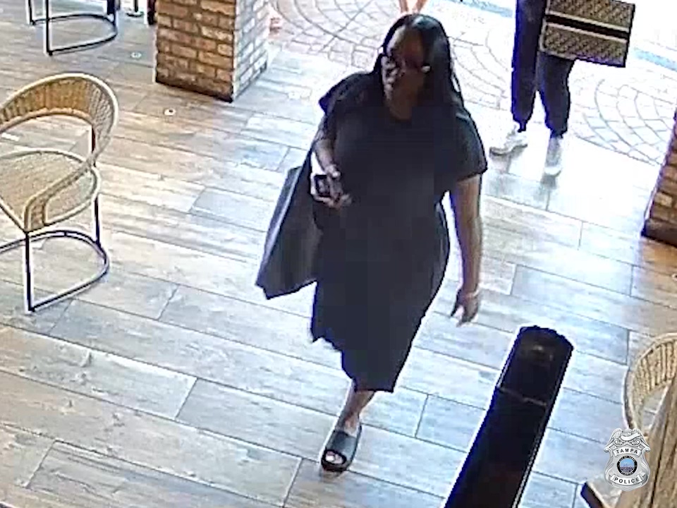 TPD searches for theft suspects