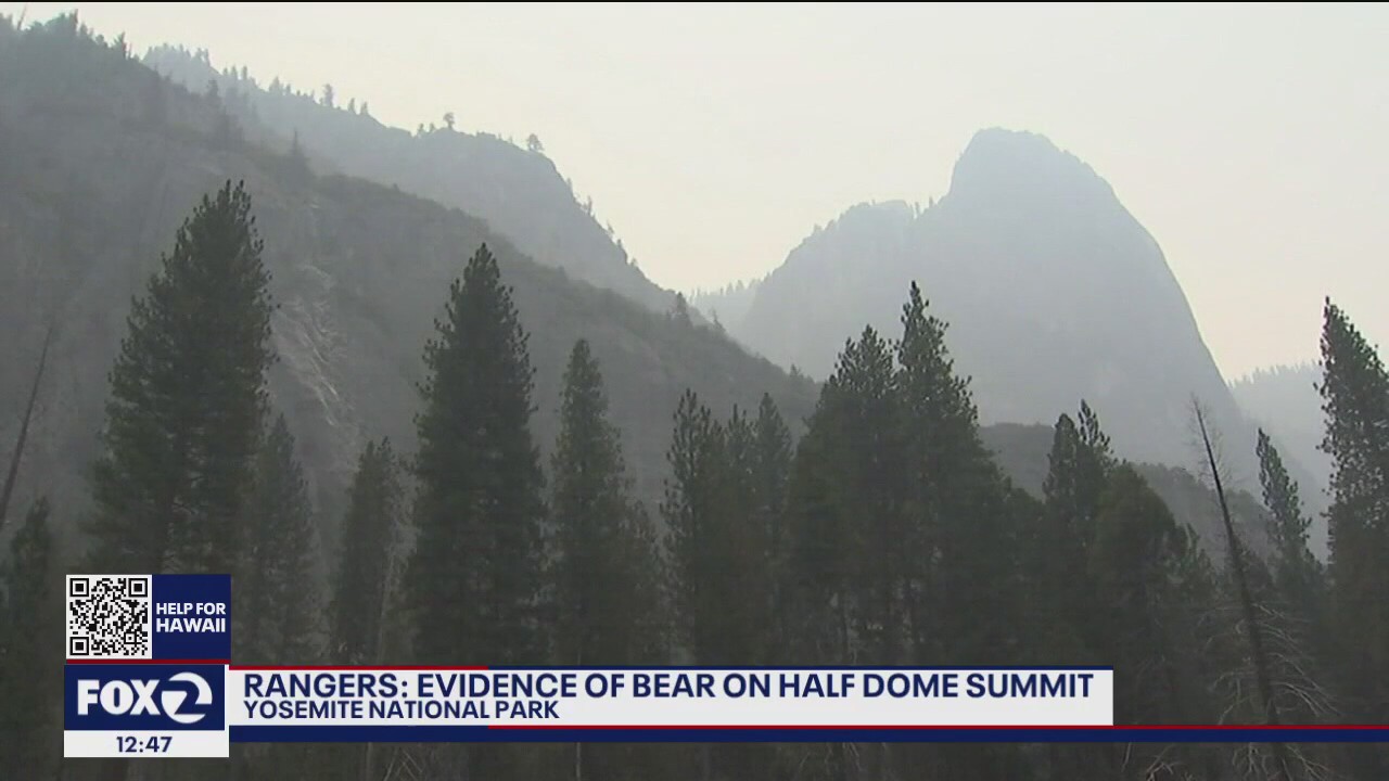 Yosemite's Half Dome summit climbed by bear