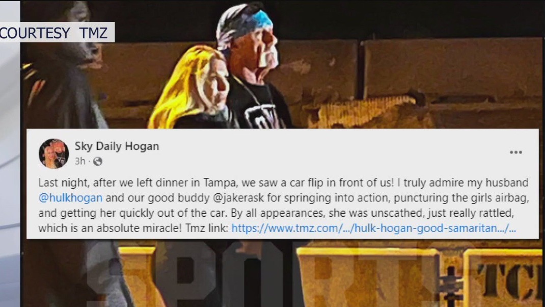 Hulk Hogan saves teen after crash: TMZ