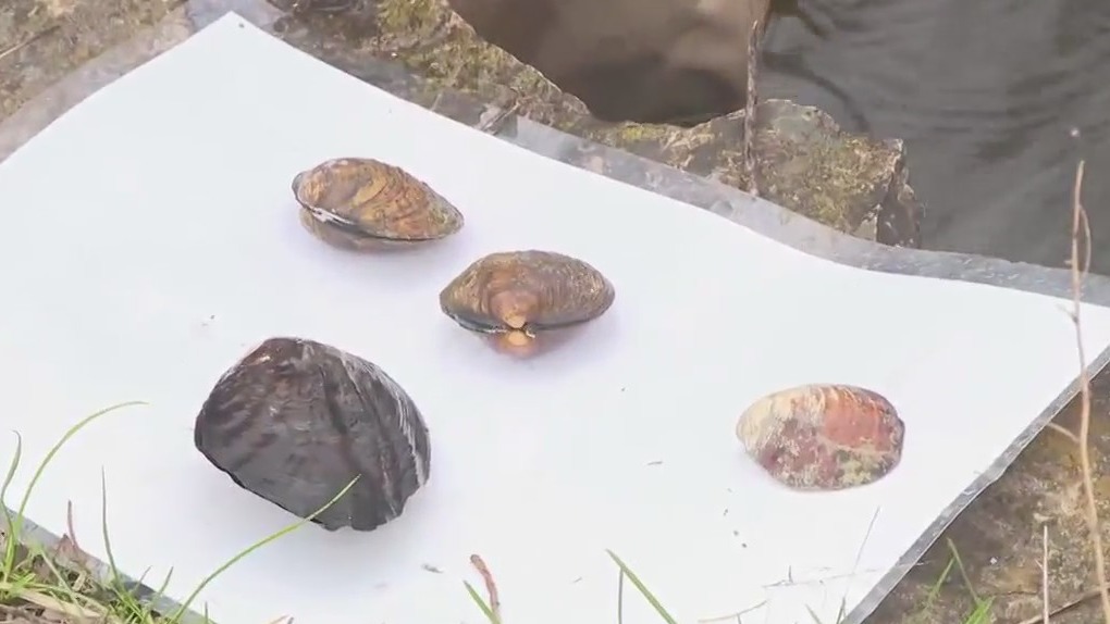 If you love the outdoors, you can help create healthier natural areas throughout Waukesha County Parks