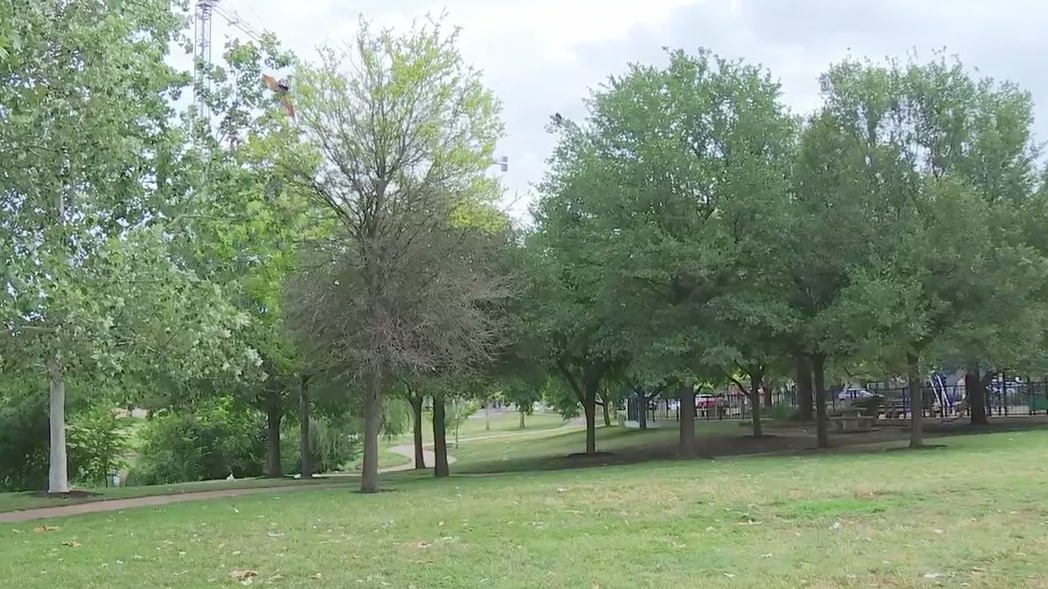 Austin Parks Foundation offers free movies at area parks