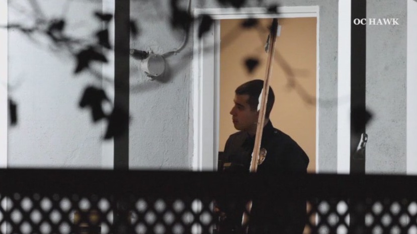 Homeowner interrupts home invaders